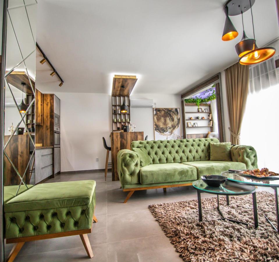 Royal Luxury Apartment Vrsac Exterior photo