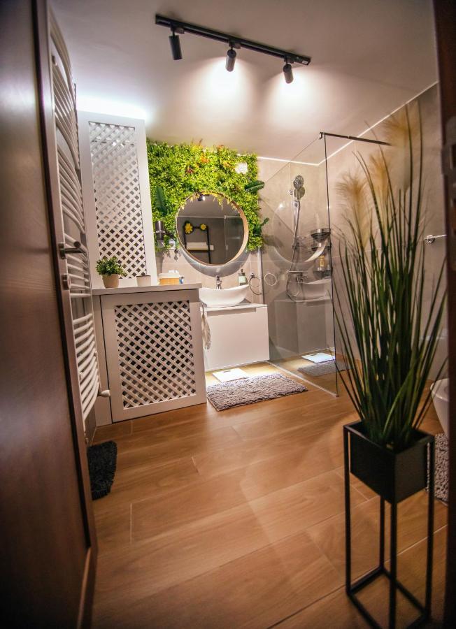 Royal Luxury Apartment Vrsac Exterior photo
